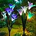 Outdoor Solar Lights, Solar Garden Lights - 2 Pack Lily Solar Powered Flower Lights Stake Lights for Garden Decorations, Patio,Yard Decoration, Multi-Color Changing Lawn Solar Lights Solar Panel