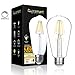 FluxSmart 8W Dimmable Edison Style Vintage LED Filament Light Bulb, 2700K Warm White, 800 Lumen, E26 Base ST21/ST64 Lamp, 60W Incandescent Bulb Equivalent (8 Watts)