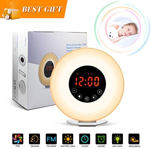 Wake Up Light Sunrise Alarm Clock with Sunrise/Sunset Simulation,Colorful LED Night Light,Touch Control, 6 Natural Sounds,FM Radio,Snooze Function,USB Charger,Cable Clips for Kids and Heavy Sleepers