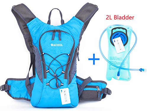 daypack with bladder