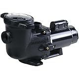 Amazon.com : Hayward SP1580X15 Power-Flo LX Series 1-1/2