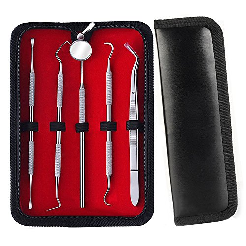 Dental Tools, Zeiger Stainless Steel Dental Hygienist Pick Tooth