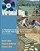 Virtual Dig: A Simulated Archaeological Excavation of a Middle Paleolithic Site in France, with Stud by 