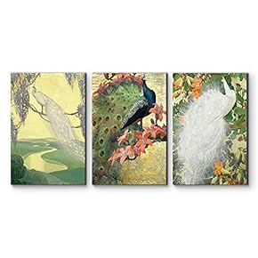 3 Panel Canvas Wall Art - Mixed Decorative Peacock Canvas Art Set - Giclee Print Gallery Wrap Modern Home Art Ready to Hang - 16"x24" x 3 Panels