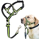 Muzzle Leash for Heavy Pullers, No Pull Stylish