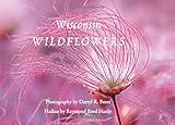 Wisconsin Wildflowers