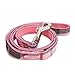 Puppia Authentic Junior Lead, Medium, Pink