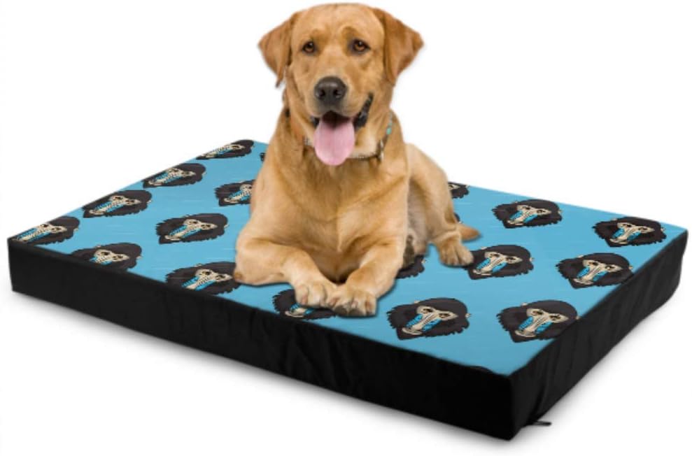 best dog collar to prevent matting