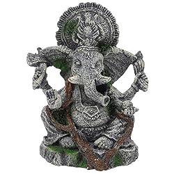 Hobby 41730 Ganesha