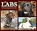 Just Labs 2018 Box Calendar (Dog Breed Calendar)