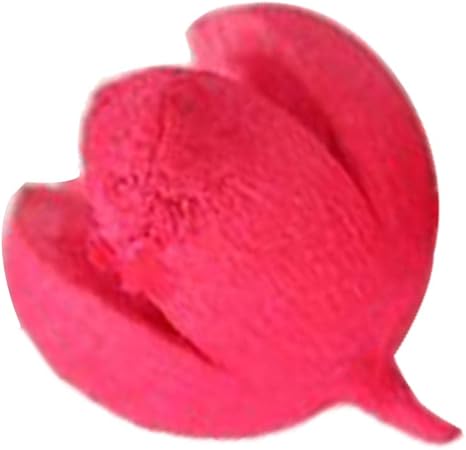 Amazon Cuticate ピスタチオ 栗 松ぼっくりの飾りクリスマスツリーつまらないもの松ぼっくりの装飾 ピスタチオ 赤 置物 オブジェ オンライン通販