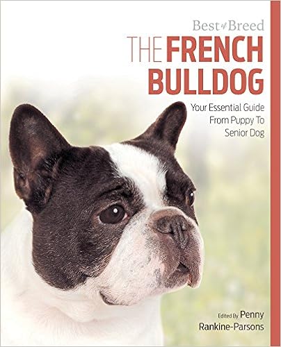 The French Bulldog: Your Essential Guide from Puppy to Senior Dog (Best of Breed) �y�[�p�[�o�b�N  - 2015/7/1