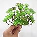 Lily Garden All Kinds of Green Artificial Succulent Plants (G)