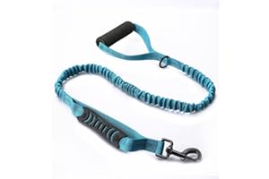 DOGORA DL01 Reflective Bungee Dog Leash with Shock Absorbing Elastic for Walking, Running and Training, for Small Medium and Large Dogs (Blue)