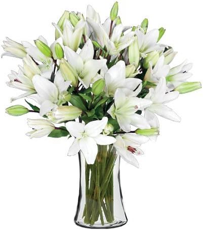 Blooms Today White Classic Lily Bouquet With Vase - Large