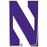 Desert Cactus Northwestern University Wildcats Vinyl Decal Laptop Water Bottle Car Scrapbook Sticker (IND 1)