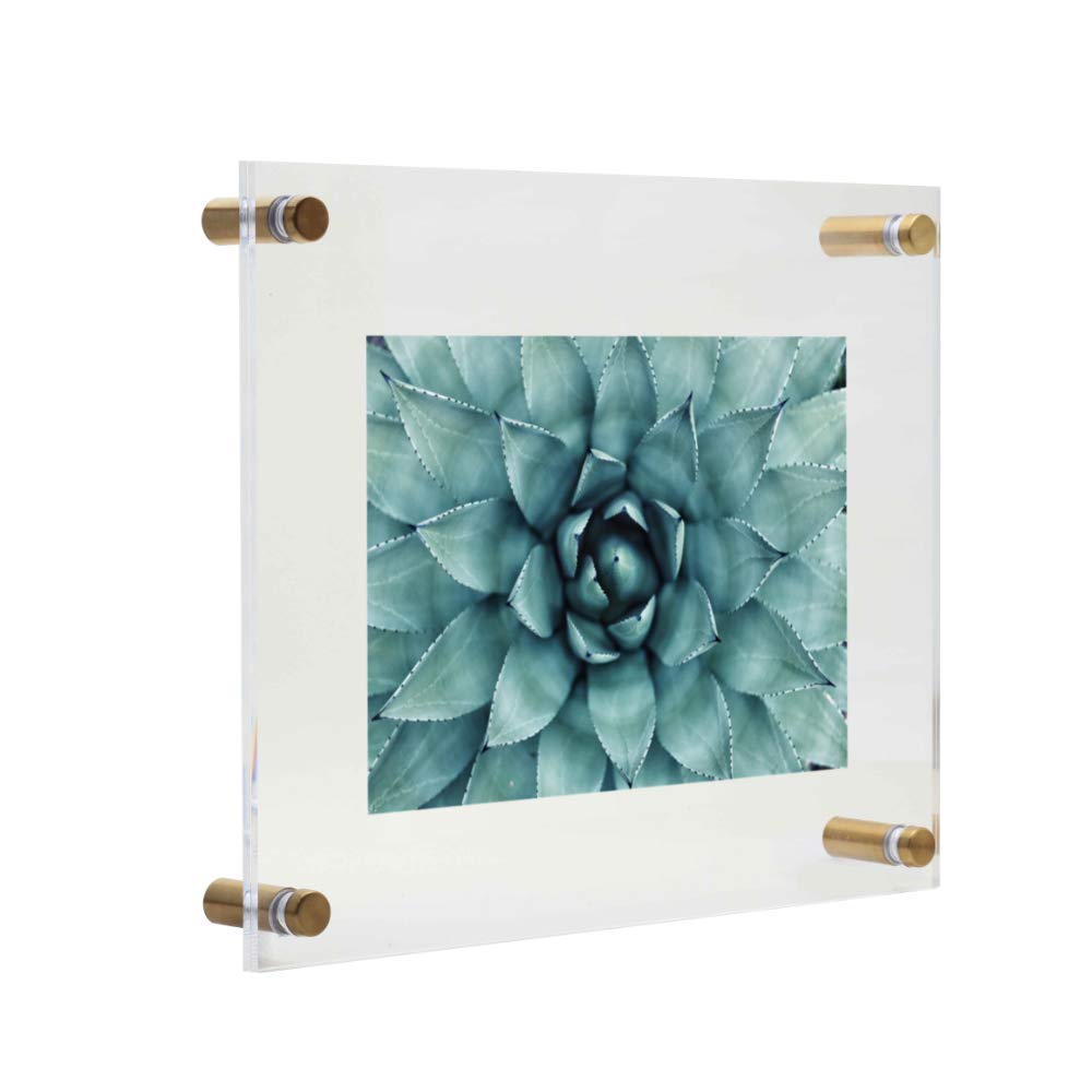 Buy Palm to Palm Modern Floating Frame (1, 11" x 13"), Clear Acrylic