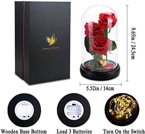 Beauty and The Beast Rose flowers, 40 LED Lights in Glass Dome on Wood Base, Warm Light mode, a Fallen leaves, Multi Use for Home/Office or Home Decorations, Mother's Day Gifts for Women - Thumbnail 3