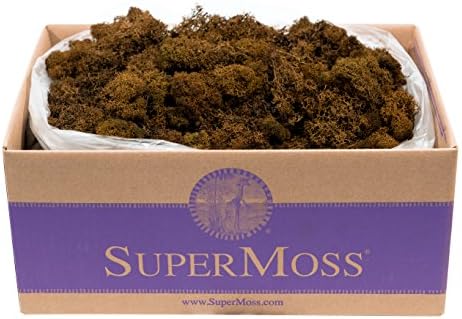Super Moss (23095 Reindeer Moss Preserved, Brown, 3lbs