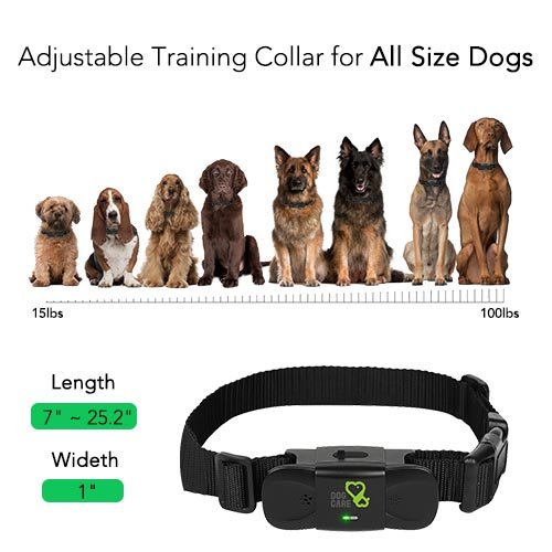 Dog Training Collar Receiver - Dogcare Rechargeable Shock Collar Receiver, 100% Waterproof Training Collar with Adjustable Collar Dog (10lbs-100lbs)