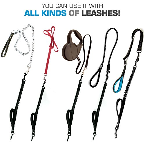 3 in 1 Short Dog Leash - Shock-Absorbing Bungee with Padded Handle - Elastic Attachment for Your Regular Leash, Control Handle, or Traffic Leash – Suitable for Medium and Large Dogs (Black New)
