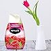 Renuzit Adjustable Air Freshener Gel, Forever Raspberry, 7 Ounces (6 Count)
