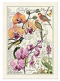 Michel Design Works Cotton Kitchen Dish Towel, Orchids in Bloom