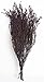 SuperMoss (27608 Dried Flowers - Erica, Purple, 3.5oz