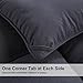 Comforter Soft Goose Down Alternative Duvet Insert Warm Winter 2100 Series Quilt with Corner Tab for All Season, Prima Microfiber Filled (Grey, Queen-1)