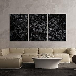 Birds Eye View of Pine Forest at Night x3 Panels