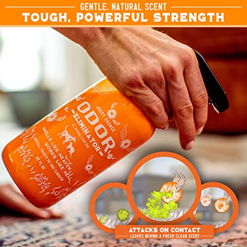 5 ANGRY+ORANGE+Ready+Citrus+Eliminator