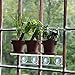 Window Garden Rustic Charm Herb Trio Kit with Planter Pots, Slate Markers, Fiber Soil, Germination Bags, Basil, Chive and Sage Seeds. Complete and Easy to Grow on Indoor Kitchen Windowsill.