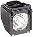 Compatible Samsung Replacement TV Lamp for 784020801, BP61-01195A, BP63-00670A, BP96-01472A, with Housing