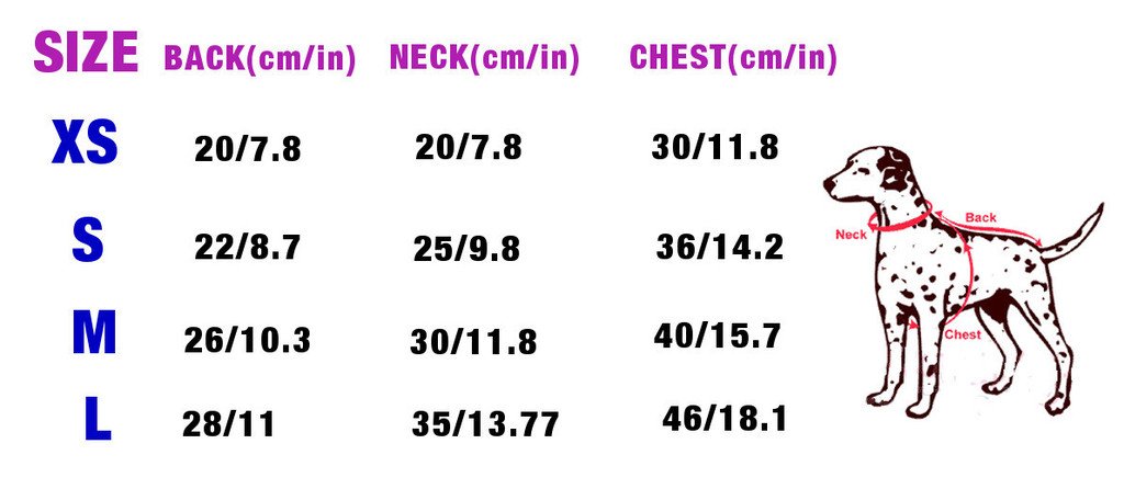 Ollypet Winter/ Fall Collection Grey Hoodie \