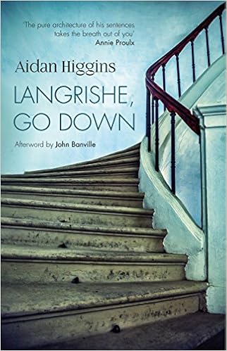 Langrishe Go Down Aidan Higgins 9781848405493 Amazon Com Books