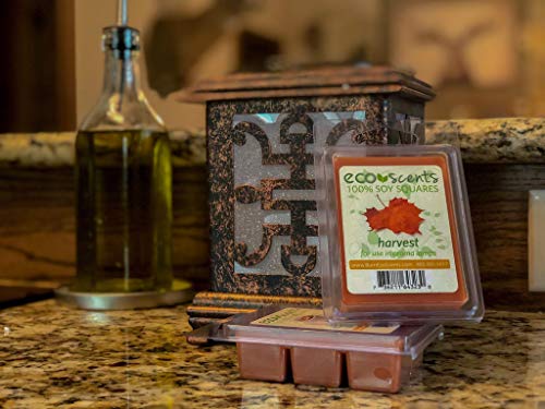 EcoScents Fall Spice 5-Pack All-Natural Soy Wax Aroma Melts Hand-Poured Infused w Essential Oils, Fall Candle Melts Perfect for a Happy Home - Pumpkin Spice, Harvest, Cranberry Tea, Cinnamon Stick