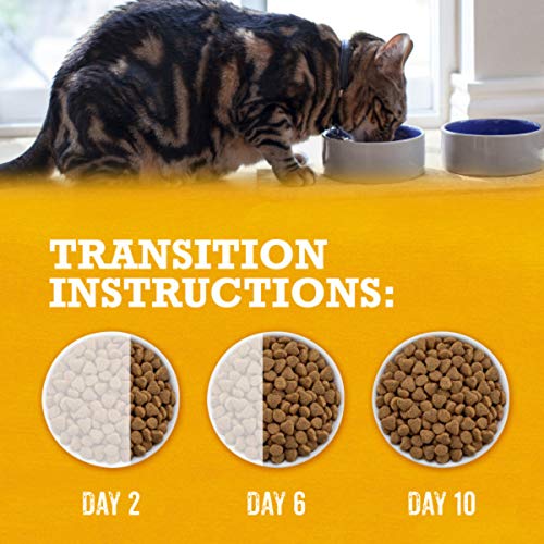 PURINA BEYOND GRAIN FREE WHITE MEAT CHICKEN AND EGG RECIPE NATURAL CAT FOOD HIGH PROTEIN CAT FOOD DRY FORMULA – 3 LB. BAG