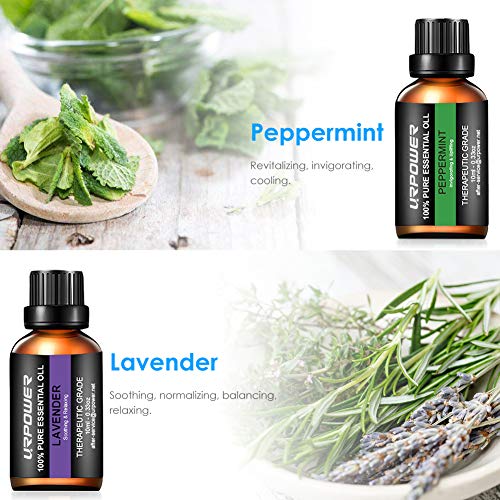 3 URbeauty+Aromatherapy+Peppermint+Eucalyptus+Lemongrass