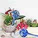 Gardening Solutions Hydro Globes Mini Automatic Watering Bulbs, 2 Piece Deluxe Set