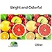JARBO Manufactured Ink Cartridge for HP 21 22 21XL 22XL, 1 Black+1 Tri-Color, Used with HP Officejet 4315 J3680 Deskjet 3915 3930 3940 D1341 D1420 D1455 D1520 D1530 D1560 D2330 D2430 D2460 PSC 1410