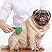 DEMATTING TOOL for DOGS and CATS | 2 Sided Rake with Dual Shedding Blades | Cat Hair Remover Comb for Knots, Tangles & Mats | Dog Brush for Long Haired | Pet Grooming Kit Essentials (FURshark, Green)