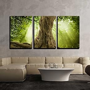 Big Tree Roots and Sunshine in a Green...