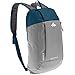 Quechua Arp 10 Ltrs Grey & Blue Backpack