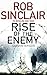 Rise of the Enemy (Enemy series Book 2)