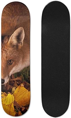 Fox Wallpaper Vogue Double Warped Skateboard Deluxe Longboard Skate Boards