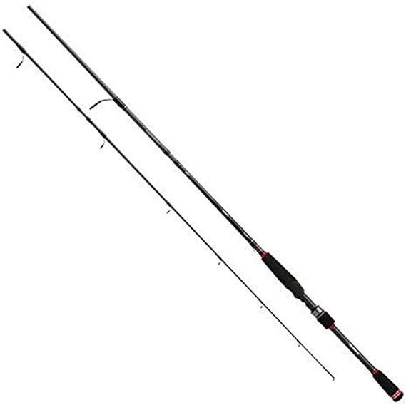 daiwa ardito tr