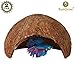 SunGrow 2 Betta cave, Natural Habitat Made from Coconut Shells, Soft-Textured Smooth Edges & Spacious Hideout for Betta Fish to Rest and Breed, Maintains Water Quality and pH Levelthumb 1