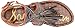 Sam Edelman Women's Giblin Gladiator Sandal
