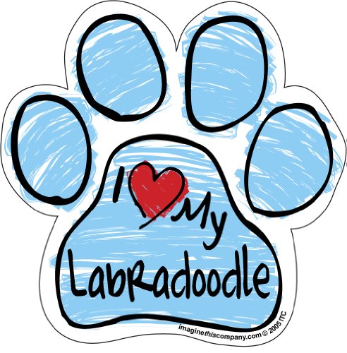Imagine This Scribble Paw Magnet, Labradoodle