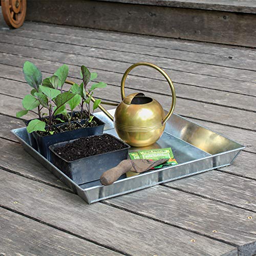 Achla Designs WC01 Brass Metal Small Watering Can Houseplants Pricepulse